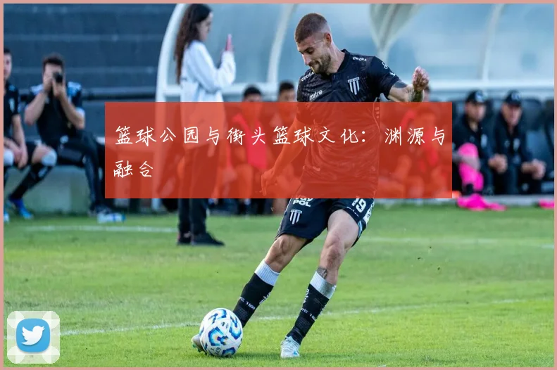 篮球公园与街头篮球文化:渊源与融合