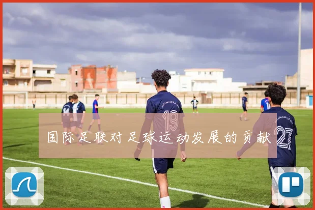 国际足联对足球运动发展的贡献