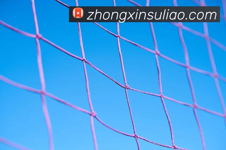奖项证书